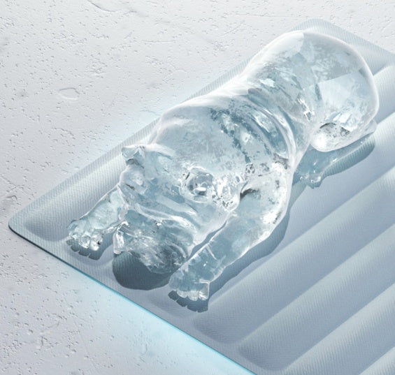 Pet Ice Mat Nest Gel Ice Mattress Cooling Cushion Mat Cooling Mat Cooling